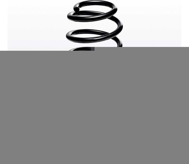 Пружина подвески Eibach Одиночная пружина ERL (серийная замена). Артикул R10001