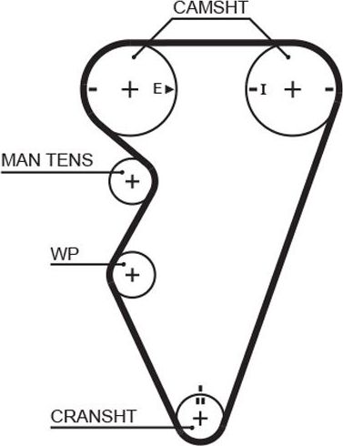 Ремень ГРМ Gates PowerGrip® для Lotus Elise I 1999-2000. Артикул 5416XS