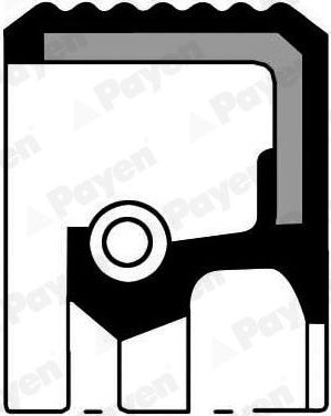 САЛЬНИК Payen (NBR (бутадиен-нитрильный каучук)). Артикул NJ985