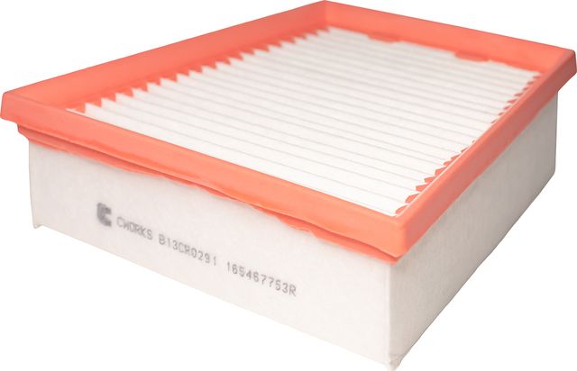 Воздушный фильтр Cworks. Артикул B13CR0291