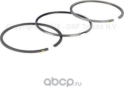 Поршневые кольца DAF. Артикул 0683563