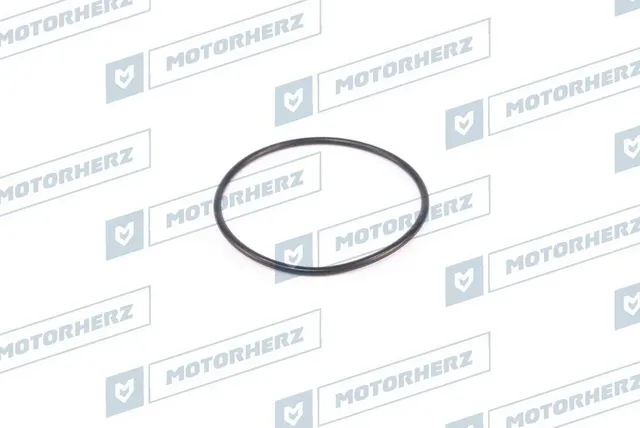 Кольцо уплотнительное (Motorherz). Артикул HR0366