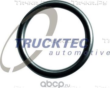 Сальник, уплотнительное кольцо Trucktec Automotive (резина). Артикул 01.10.138