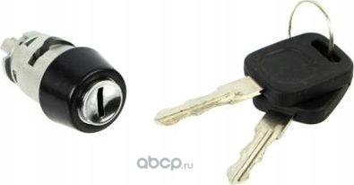 ВКЛАДЫШ ЗАМКА ЗАЖИГАНИЯ (Polcar) Polcar. Артикул 1308Z07