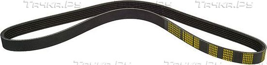 Приводной ремень поликлиновой Zentparts для Ford Focus II 2004-2012. Артикул Z22584