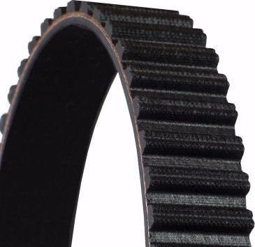 Ремень ГРМ ContiTech для Ford Ranger III 2018-2015. Артикул CT1234