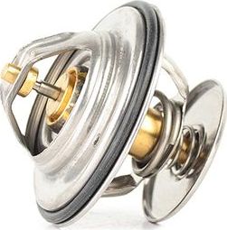 Термостат BSG. Артикул BSG 60-125-014