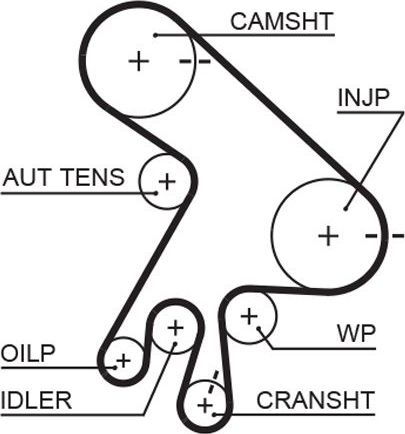 Ремень ГРМ Gates (HNBR (Hydrierter Acryl-Nitril-Butadien-Kautschuk)) для Toyota Ipsum II (M20) 2001-2005. Артикул 5562XS