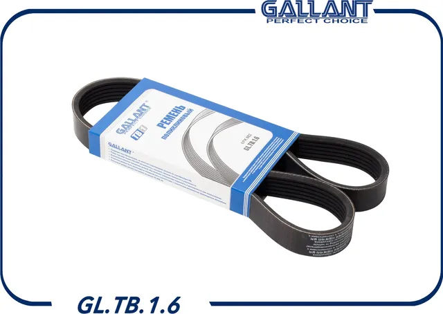 Ремень поликлиновой (Gallant). Артикул GL.TB.1.6