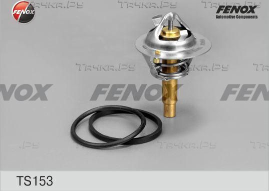 Термостат Fenox для Mercedes-Benz E-Класс III (W211, S211) 2002-2009. Артикул TS153