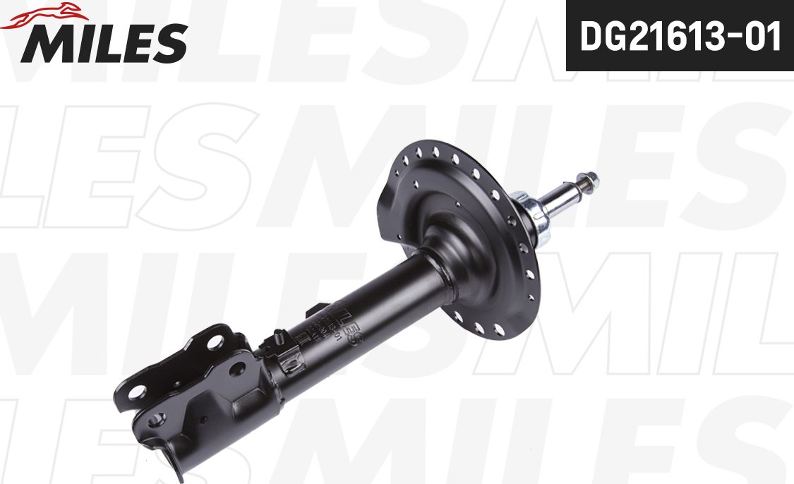 Амортизатор Miles. Артикул DG21613-01