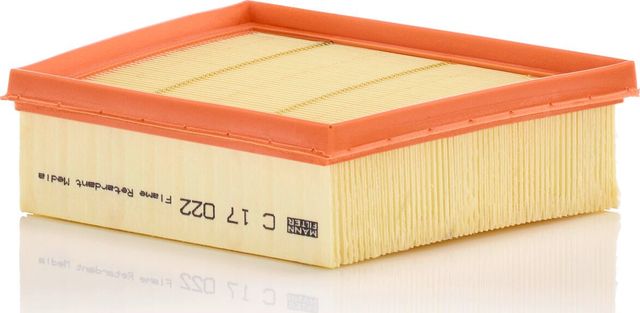 Воздушный фильтр Mann-Filter. Артикул C 17 022
