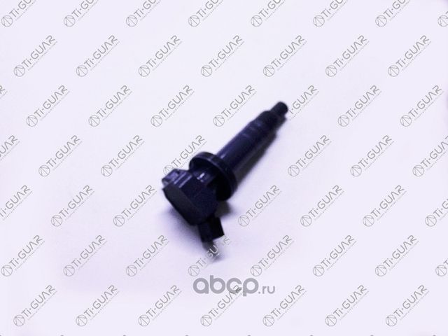 Катушка зажигания (TI-Guar). Артикул TG9091902239