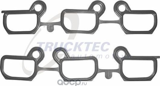 Прокладки впускного коллектора (комплект) Trucktec Automotive. Артикул 08.10.070