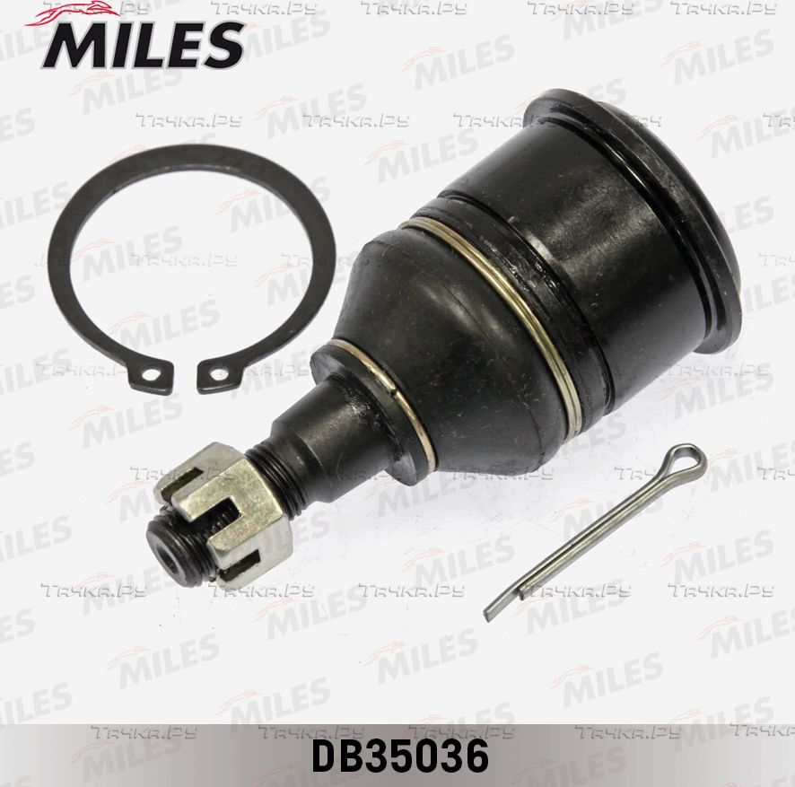 Шаровая опора Miles передняя правая/левая нижняя для Honda Accord VI 1999-2002. Артикул DB35036