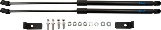 Амортизаторы (упоры) капота Arbori для Nissan X-Trail  T31 2007-2014. Артикул ARBORI.HD.030104