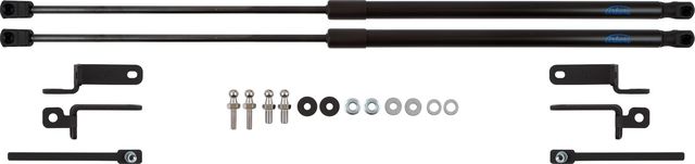 Амортизаторы (упоры) капота GAC Trumpchi GS3 II 2022-2026. Артикул ARBORI.HD.077102