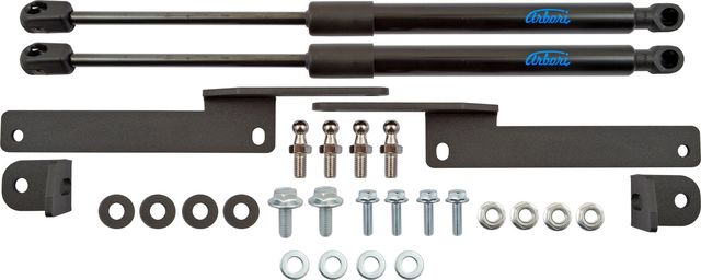 Амортизаторы (упоры) капота Arbori для Hyundai Solaris I (DR) 2010-2017. Артикул ARBORI.HD.016106