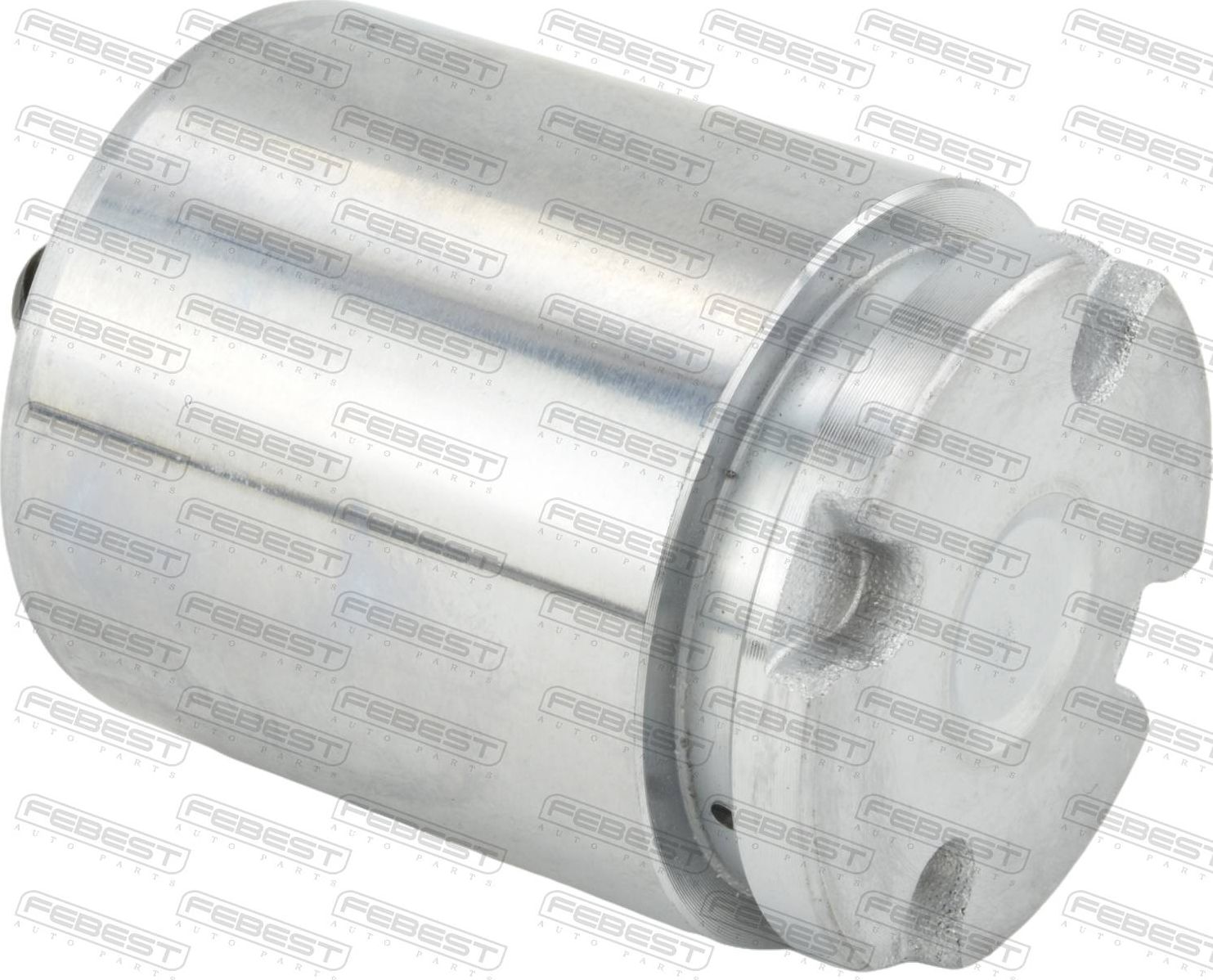 ПОРШЕНЬ СУППОРТА ТОРМОЗНОГО ЗАДНЕГО (Febest). Артикул 1276SON19R