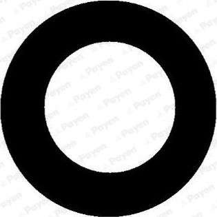 Прокладка свечного колодца Payen. Артикул JM5111