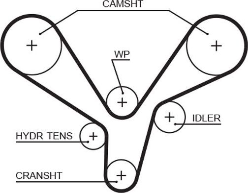 Ремень ГРМ Gates PowerGrip® для Kia Carnival II 2006-2015. Артикул 5636XS