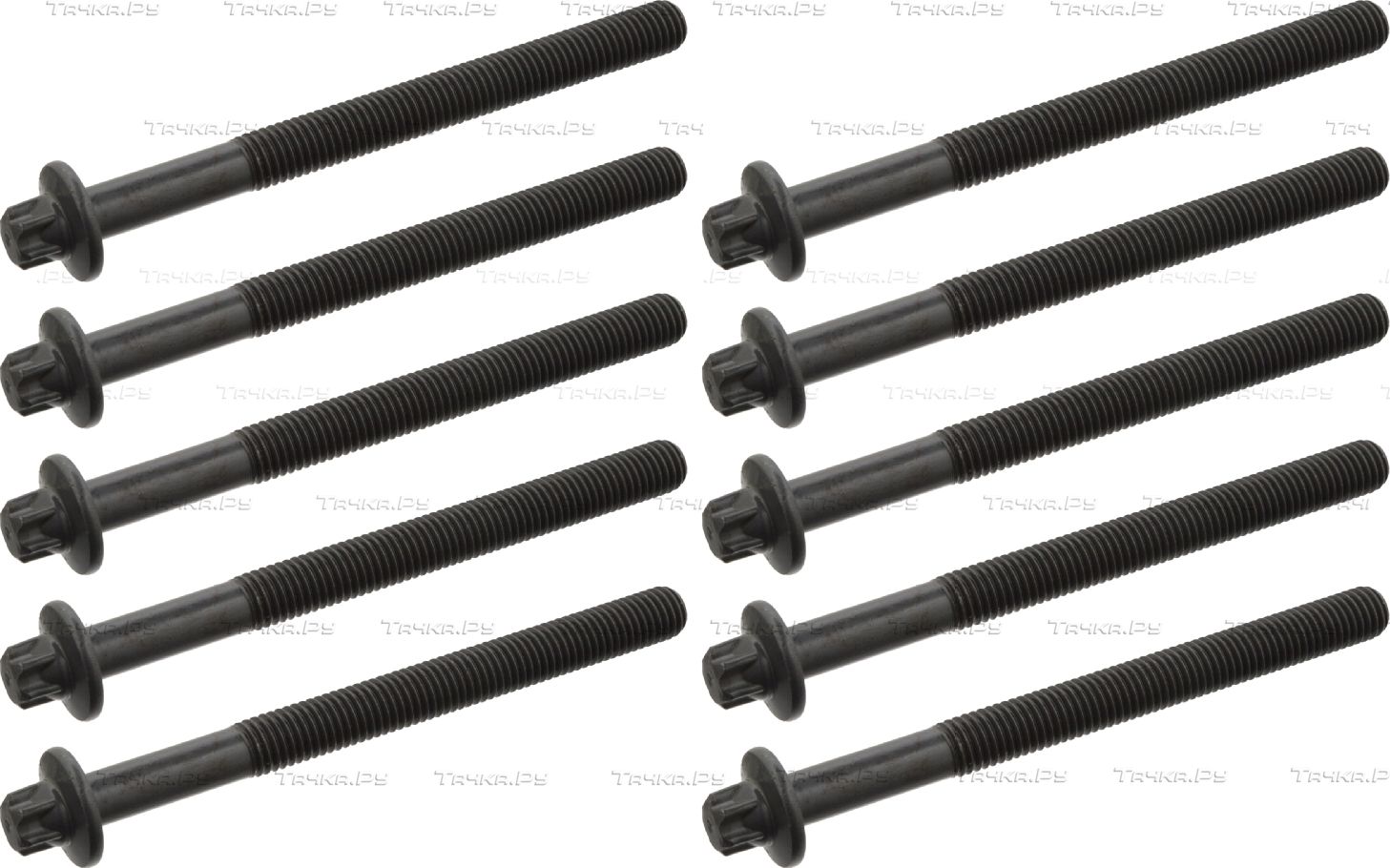Комплект болтов ГБЦ Febi Bilstein для Renault Laguna II 2001-2007. Артикул 24099