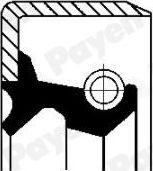 Сальник ступицы Payen (NBR (бутадиен-нитрильный каучук)). Артикул NJ132