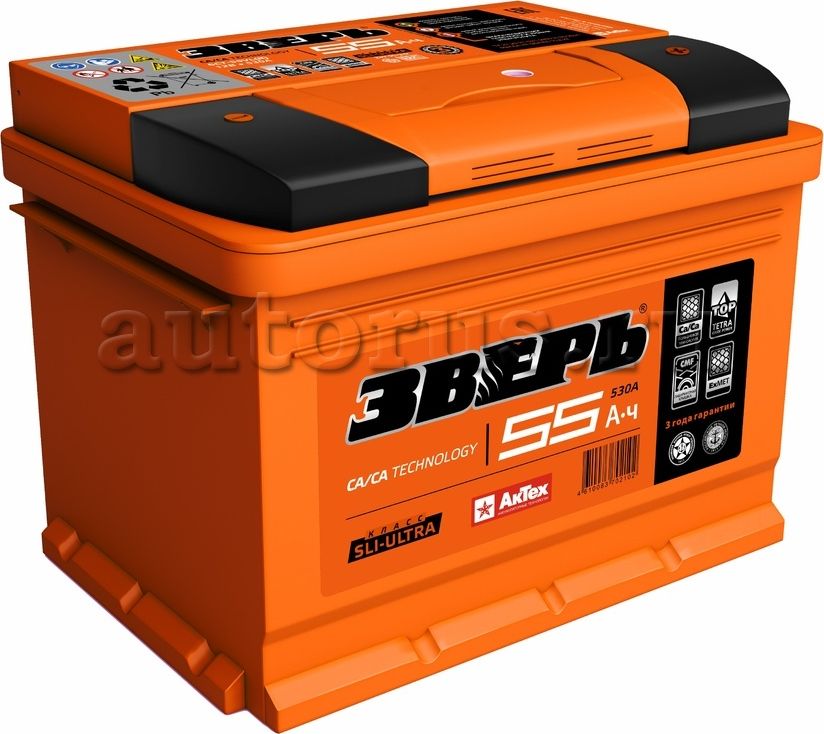 Аккумулятор ЗВЕРЬ 55 А/ч обратная R+ 242x175x190 EN600 А. Артикул ZVK553R