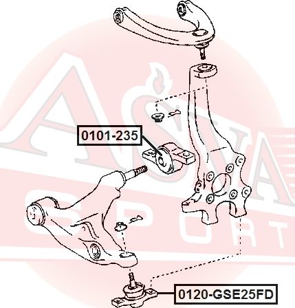 Шаровая опора Asva передняя правая/левая нижняя для Lexus IS II 2005-2013. Артикул 0120-GSE25FD