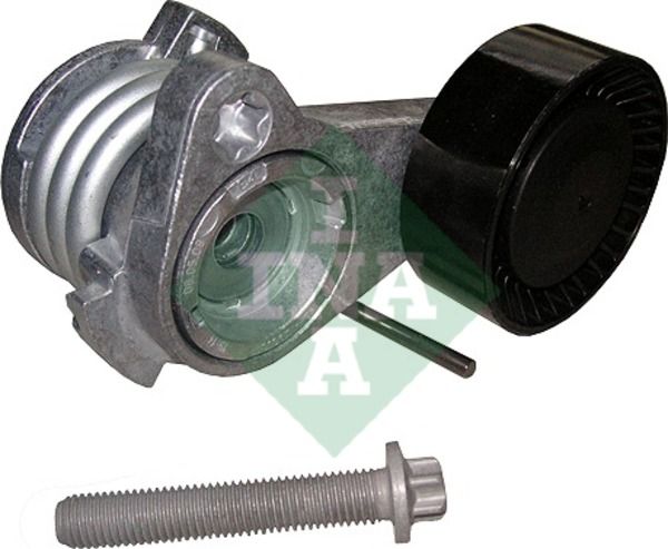 Натяжной ролик (натяжитель) приводного клинового зубчатого ремня Ina. Артикул 534 0252 10