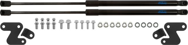 Амортизаторы (упоры) капота Arbori для Honda Odyssey 2020-2026. Артикул ARBORI.HD.014108