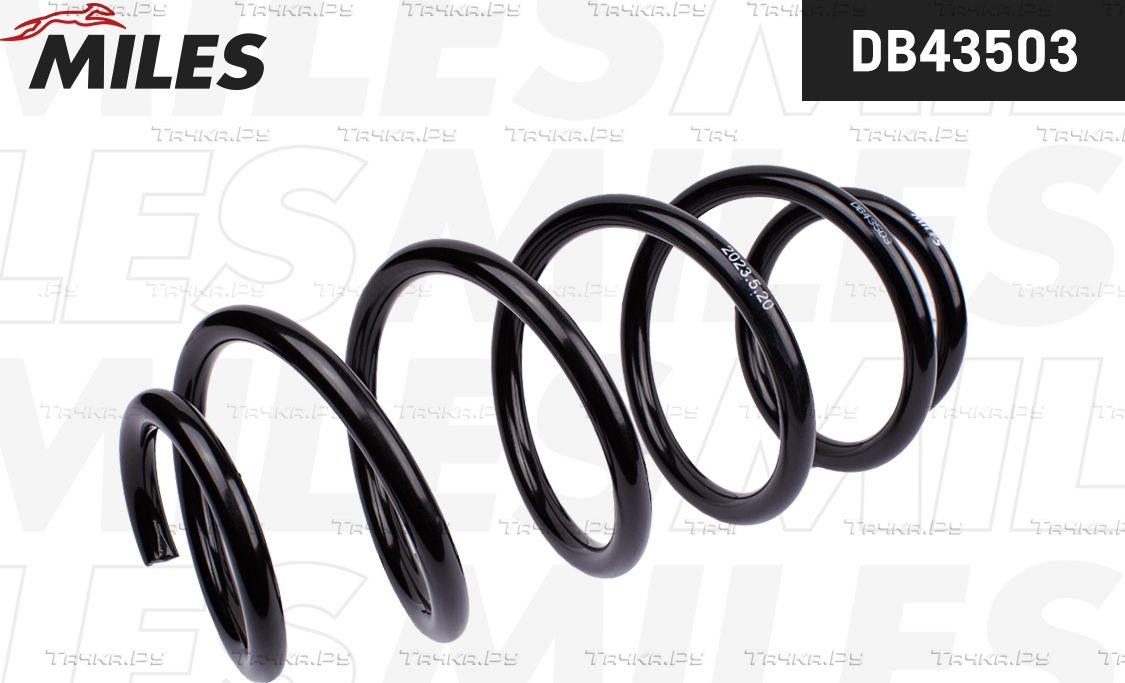 Пружина подвески Miles передняя для Volkswagen Passat B6 2005-2010. Артикул DB43503