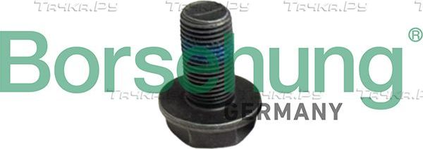 Болт маховика Borsehung. Артикул B12999