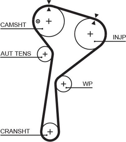 Ремень ГРМ Gates PowerGrip™ для Mercedes-Benz Citan 2019-2026. Артикул 5712XS