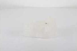 Расширительный бачок BSG. Артикул BSG 65-550-017