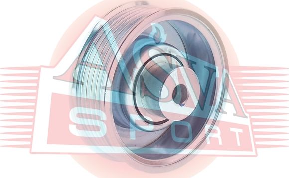 Натяжной ролик (натяжитель) приводного клинового ремня Asva. Артикул TYBP-024