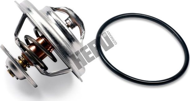 Термостат Hepu. Артикул TM1298