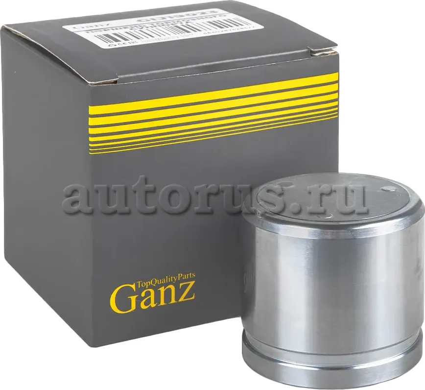 Поршень переднего тормозного суппорта NISSAN Juke 2010->/SUZUKI SX4 06-> /Type M (Ganz). Артикул GIJ19023