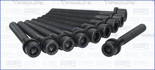 Комплект болтов ГБЦ Ajusa для Audi 100 IV (C4) 1990-1994. Артикул 81000300