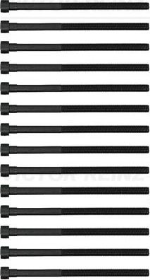 Комплект болтов ГБЦ Victor Reinz (сталь) для BMW 1 II (F20/F21) 2016-2019. Артикул 14-12261-03