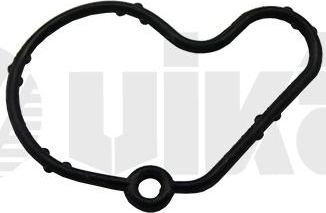 Gasket, vacuum pump Vika (АСМ (полиакриловый каучук)). Артикул 61450807001