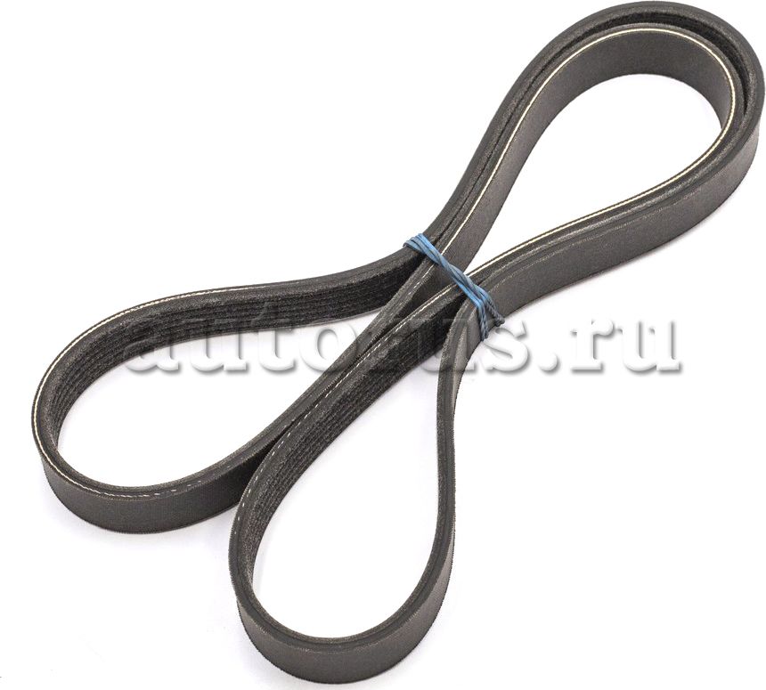Приводной ремень поликлиновой Nissan. Артикул 117204P10A