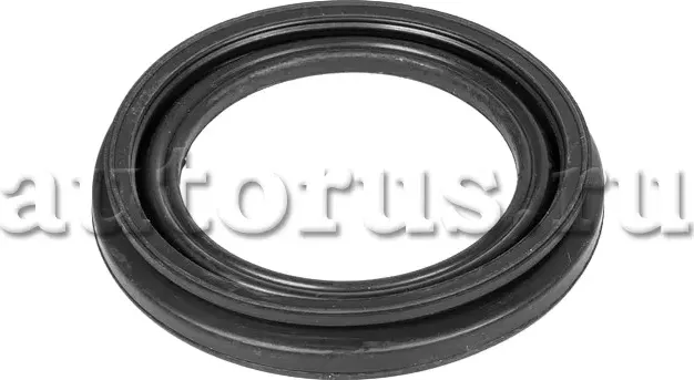 Ремкомплект суппорта (Ganz). Артикул GUR54066