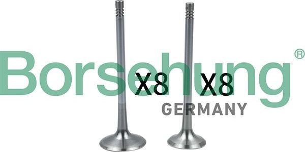 Впускной клапан Borsehung. Артикул B18637