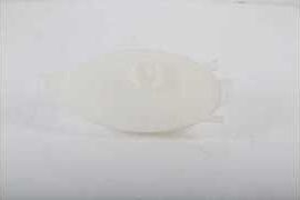 Расширительный бачок BSG (полимерный материал) для Renault Trafic II 2001-2014. Артикул BSG 75-551-008