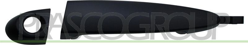 Ручка двери Prasco. Артикул BM8228004