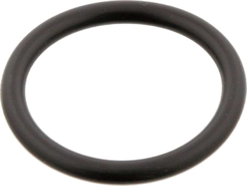 Уплотнительное кольцо, трубка охлаждающей жидкости Febi Bilstein (NBR (бутадиен-нитрильный каучук)). Артикул 29752