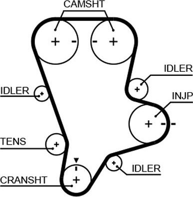 Ремень ГРМ Gates PowerGrip® для Kia Carnival II 2006-2015. Артикул 5644XS
