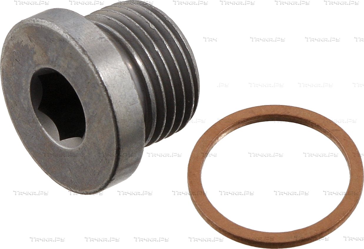 Сливная пробка масляного поддона двигателя Febi Bilstein для BMW X5 II (E70) 2006-2008. Артикул 48895