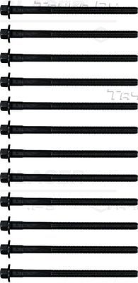 Комплект болтов ГБЦ Glaser для Volvo C70 II 2006-2013. Артикул T50036-00